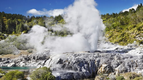 New Zealand - Pohutu geyser Rotorua